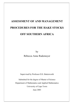 assessment of and management procedures for the hake