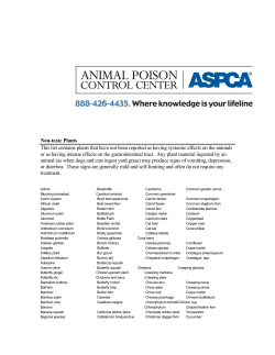 Non-toxic Plants This list contains plants that have not been reported