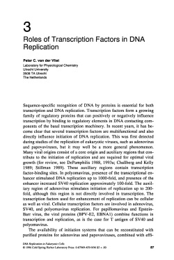 Chapter 3: Roles of Transcription Factors in DNA Replication