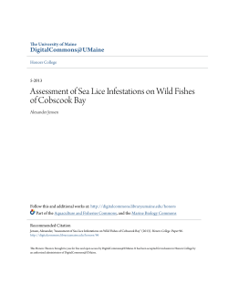 Assessment of Sea Lice Infestations on Wild Fishes of Cobscook Bay
