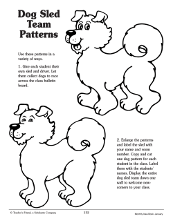Dog Sled Team Patterns