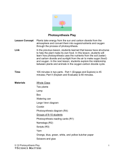 5.15 Photosynthesis Play