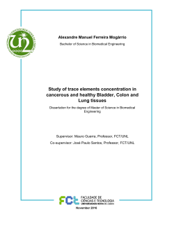 TORNADO - RUN - Universidade NOVA de Lisboa