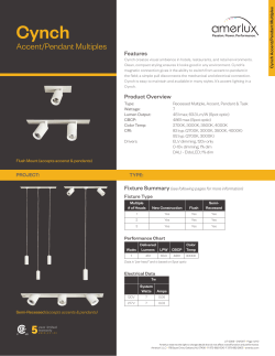 Cynch Accent/Pendant Multiples