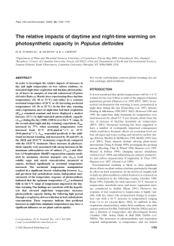 The relative impacts of daytime and night