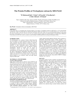 The Protein Profiles of Trichophyton rubrum by SDS-PAGE