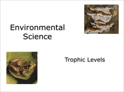 Environmental Science