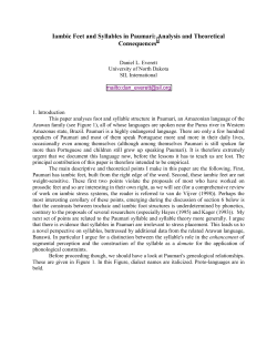 Iambic Feet and Syllables in Paumari