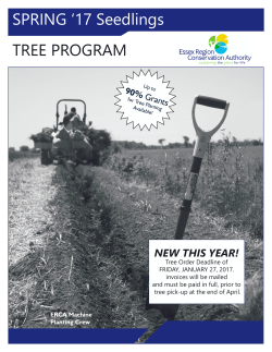 Seedlings Tree Order Form – 2017