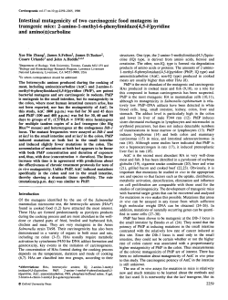 2-amino-l-methyl-6-phenylimidazo[4,5-£]pyridin