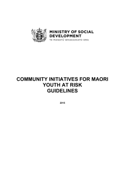 community initiatives for maori youth at risk guidelines
