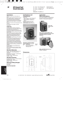 2P GFS Ground Fault Circuit Interrupter
