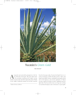 Yucat&aacute;n`s Green Gold