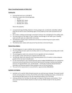Maser Engineering Evaluation of Witte Field