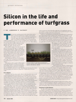 Silicon in the life and performance of turfgrass