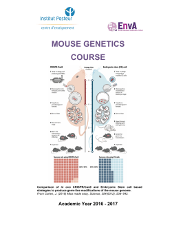 Mouse Genetics 2016-2017 Programme Web