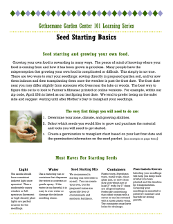 Seed Starting Basics - Gethsemane Garden Center