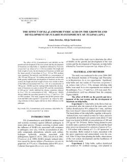 THE EFFECT OF D,L-β-AMINOBUTYRIC ACID ON THE GROWTH