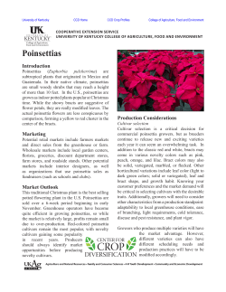Poinsettias - University of Kentucky