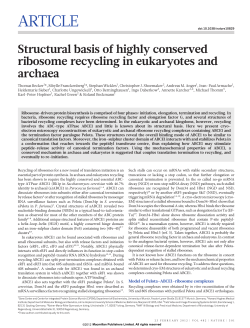 Structural basis of highly conserved ribosome