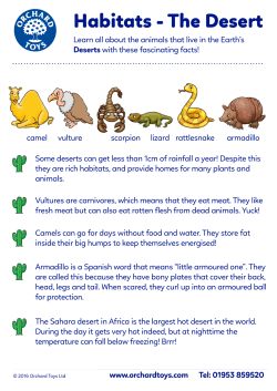 Habitat Facts - The Desert