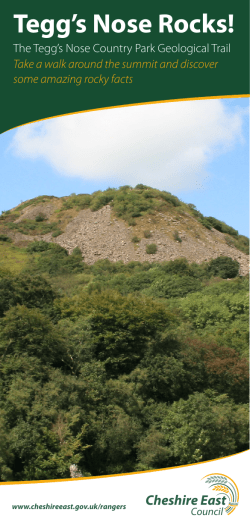 Tegg`s Nose Rocks! - Cheshire East Council