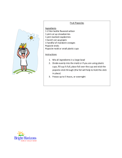 Fruit Popsicles Ingredients 1-2 liter bottle flavored seltzer 1 pint cut