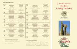 Desert Gardens Walking Tour Map