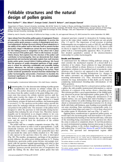 Foldable structures and the natural design of pollen grains