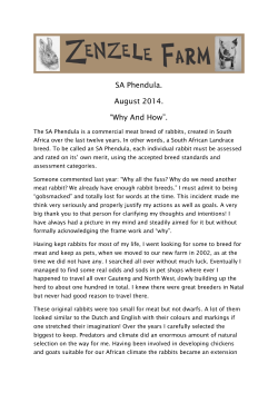 SA Phendula Portfolio (Full version of the Document 2014)