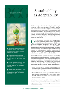 Sustainability as Adaptability