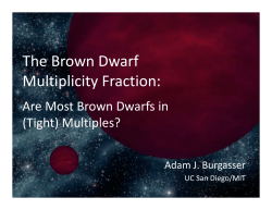 The Brown Dwarf Multiplicity Fraction