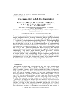 Drag reduction in fish-like locomotion