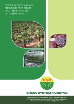 pioneer in date palm and seedless plants