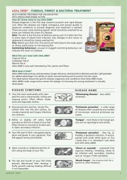 Esha 2000.indd - eSHa Aquarium Products