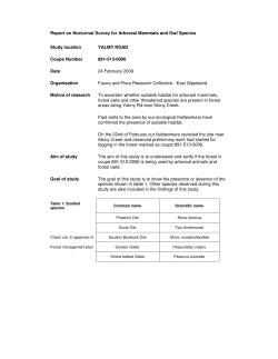 Report on Nocturnal Survey for Arboreal Mammals and Owl Species