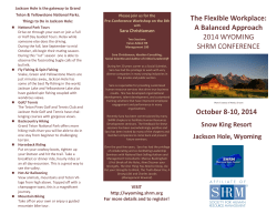 2014 State Conference Trifold Brochure