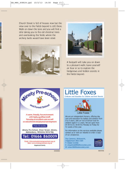 Little Foxes - Royal Wootton Bassett Town Council