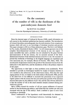 On the constancy of the number of villi in the