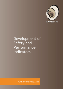 Development of Safety and Performance Indicators