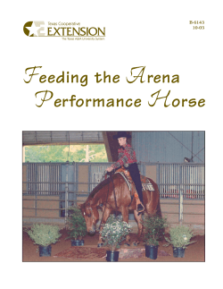 Feeding the Arena Performance Horse