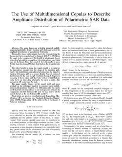 The Use of Multidimensional Copulas to Describe Amplitude
