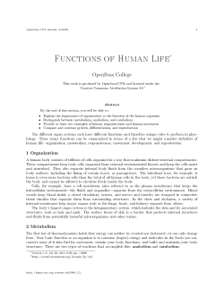 Functions of Human Life
