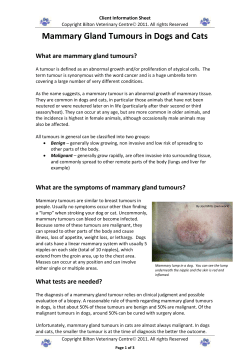 FLUTD &ndash; FELINE LOWER URINARY TRACT DISORDER