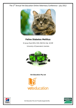 Feline Diabetes Mellitus - Vet Education Webinar Membership