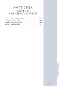 Section VIII - Florida Department of Elder Affairs