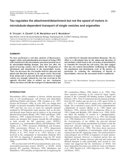 Tau inhibits vesicle and organelle transport