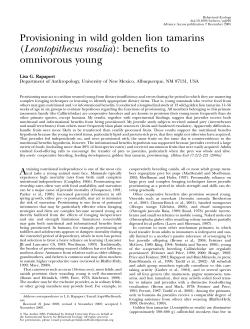Provisioning in wild golden lion tamarins