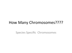 How Many Chromosomes????