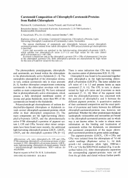 Carotenoid Composition of Chlorophyll-Carotenoid
